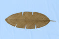 Hoja Decorativa (mediana)