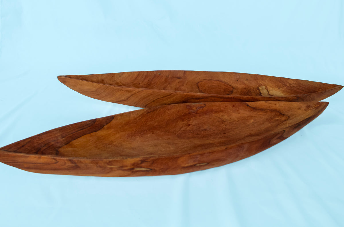 Canoa Odorata Chocó
