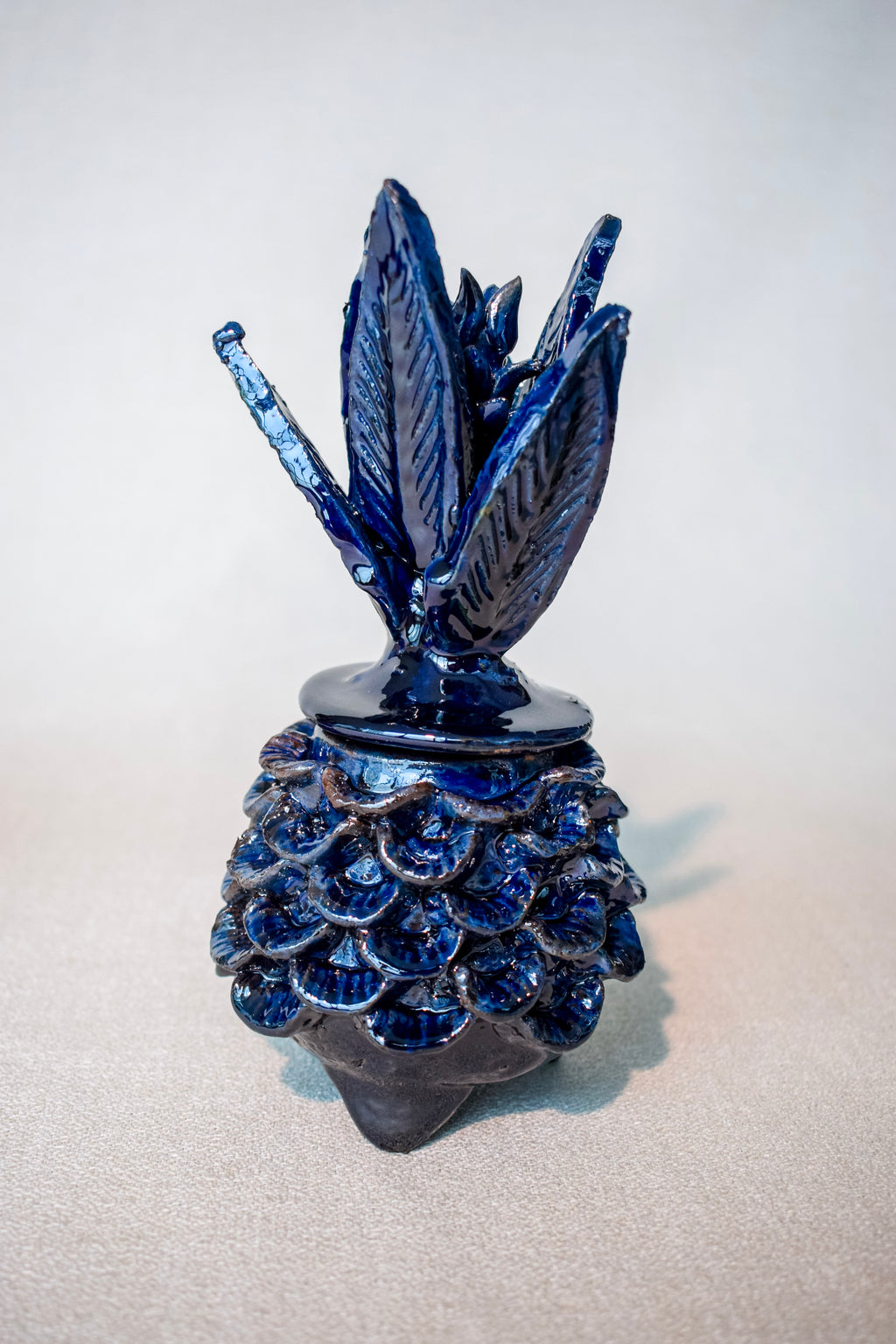 Piña Alajero (15cm)