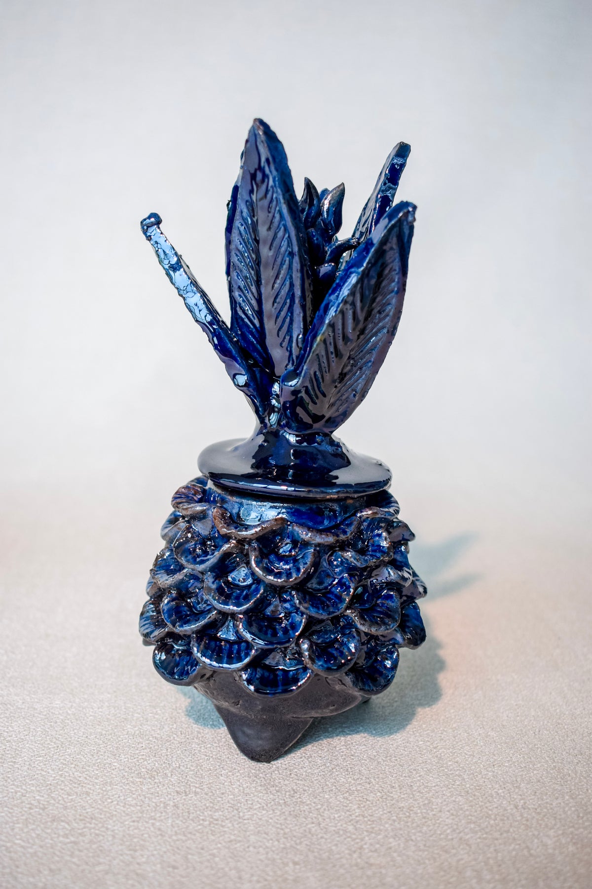 Piña Alajero (15cm)