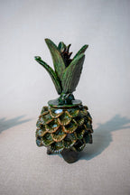 Piña Alajero (15cm)