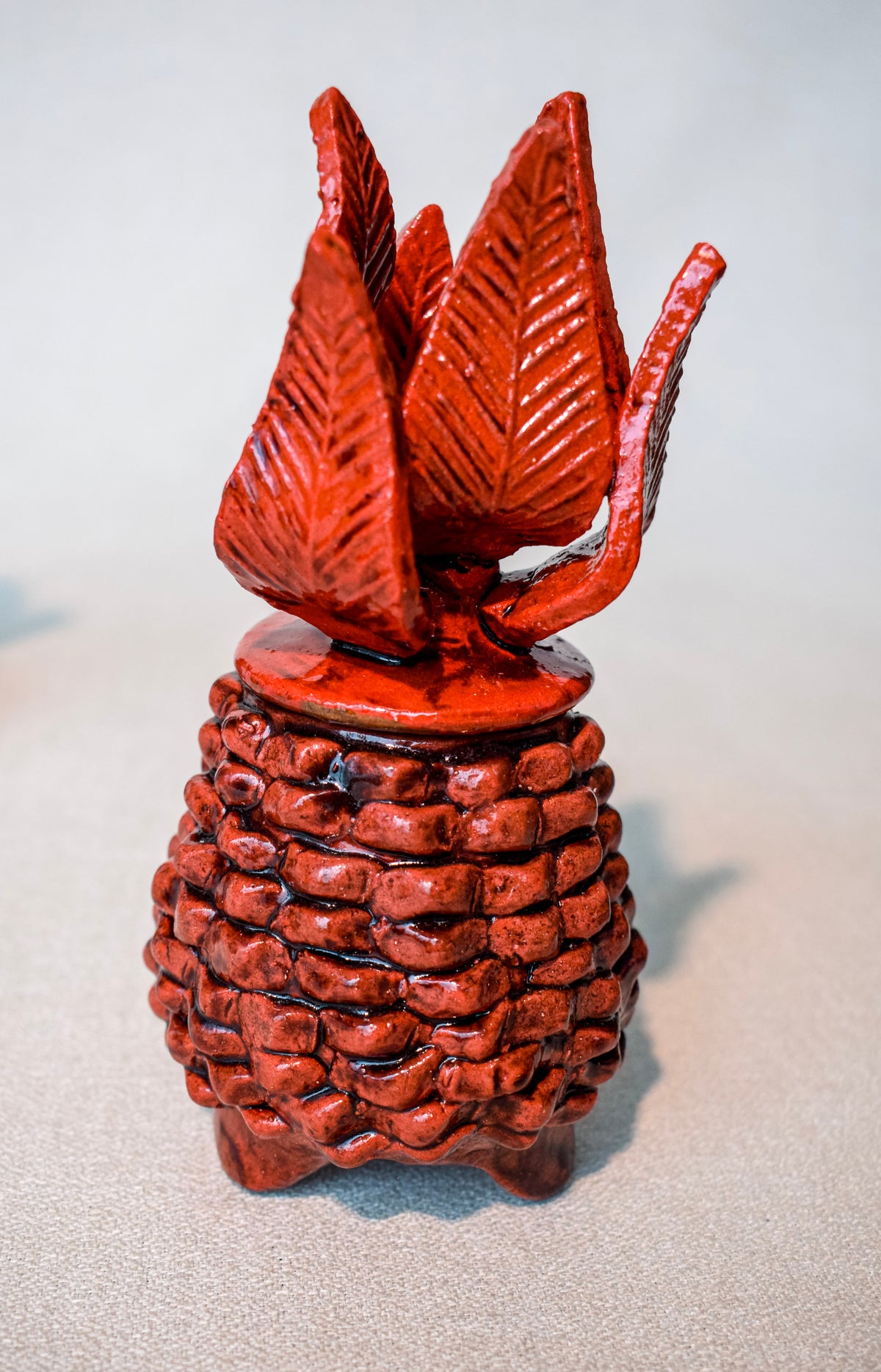 Piña Alajero (15cm)