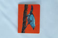 Cuaderno Pequeño