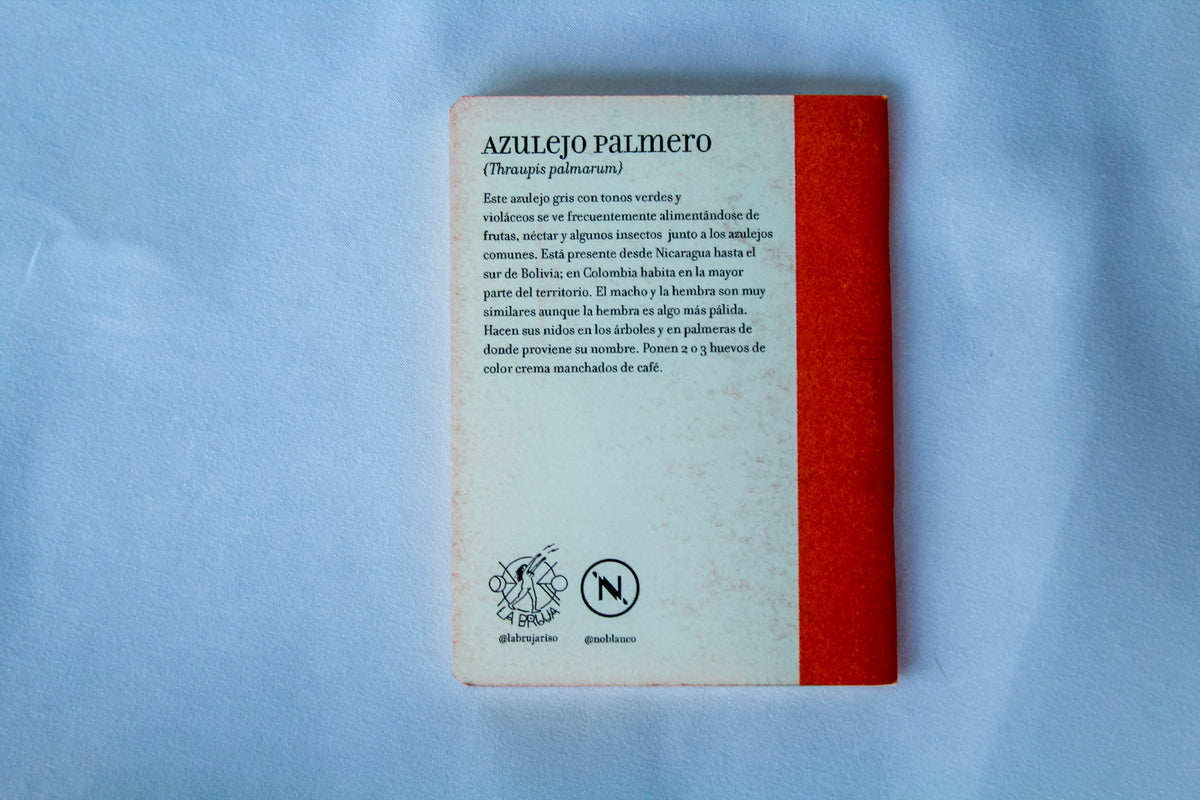 Cuaderno Pequeño